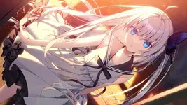 97c1494a46132811.webp