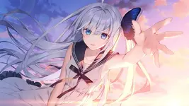 b1546f9a9a132813.webp