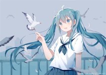 1000160132.webp
