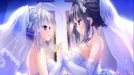 QQ图片20231111004311.webp