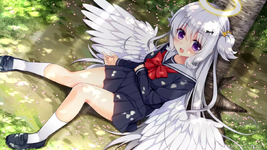 1739595219531.webp