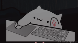1747232508557.webp