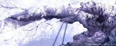 sp0005c.webp