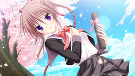 QQ20260711-164648.webp