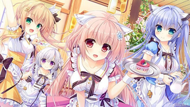 98e3dd1e-9017-4e44-ab4d-9161f4670ec3.webp