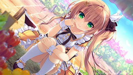 916519ad-0156-4d1f-85d2-57b693098bc3.webp