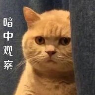 您色色色的时候