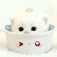 聿桴桴桴桴