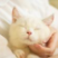 WWW111