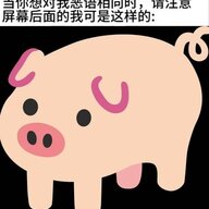 🐖🐖🐖