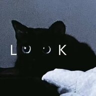 渊海回响
