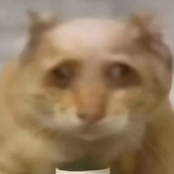 tzlbs