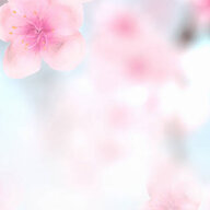 苏芊蝶