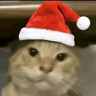 GUsu