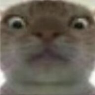 3011776750