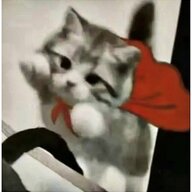 霍先生