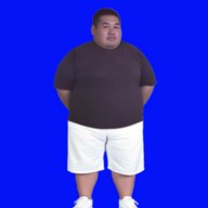 18285994、