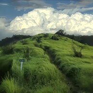 一抹旧阳光