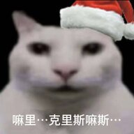 四一kkk