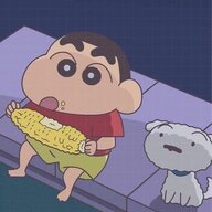 叶子星