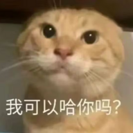 Qqqqqqqqqqqqq