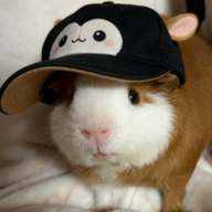 oscar