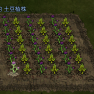 喵喵普拉斯