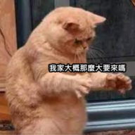liucoco5566
