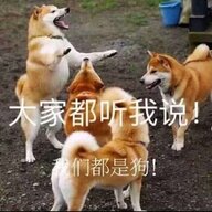 dtukgtyghg