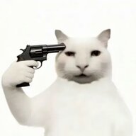 wht233