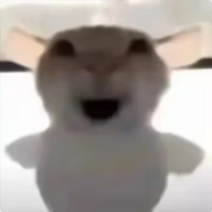 肥鱼凵