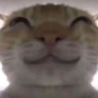 yshsjksj2737