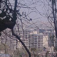 双拥号烎