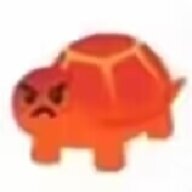 NSDG