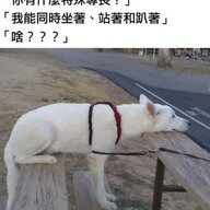 AIzero