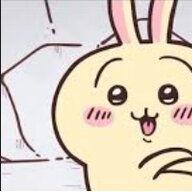 momoUSAGI