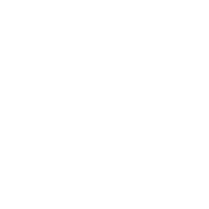 a891