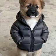 qnmdedg