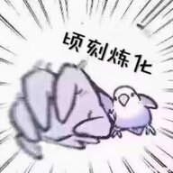 南弦月
