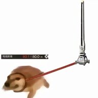 哦摩西