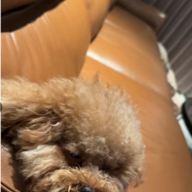 pppppwwwwww