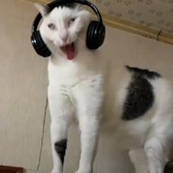 nnnnnn