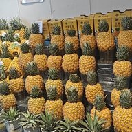 lbll00
