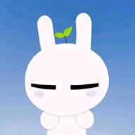 4288