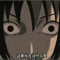 ChiPolice