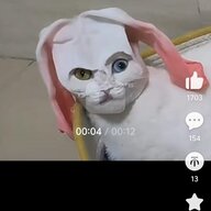 榴莲的