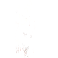 rrr0123