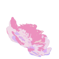 ljyl3