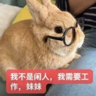 sasioverxld