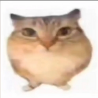ryooo